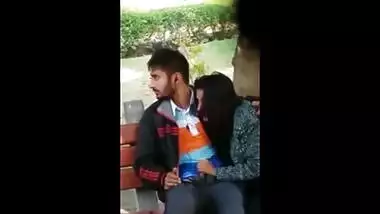 Desi outdoor boob press & blowjob in park scandal